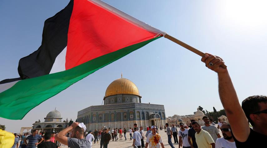194 منظمة وشبكة حقوقية تطالب بإحترام حق الشعب الفلسطيني