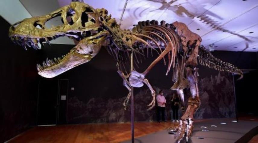 بيع هيكل ديناصور بـ12 مليون دولار