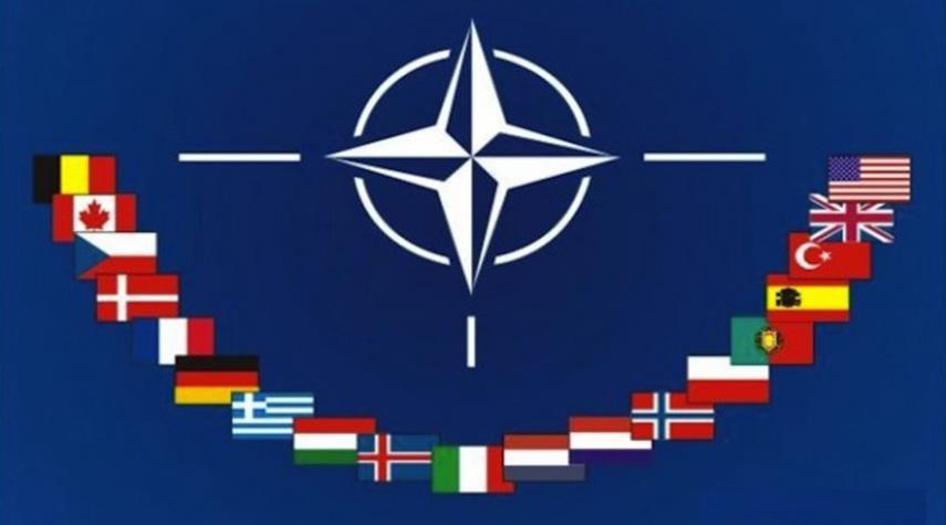 أوكرانيا تنفي وجود مساعي للانضمام لـ"الناتو"