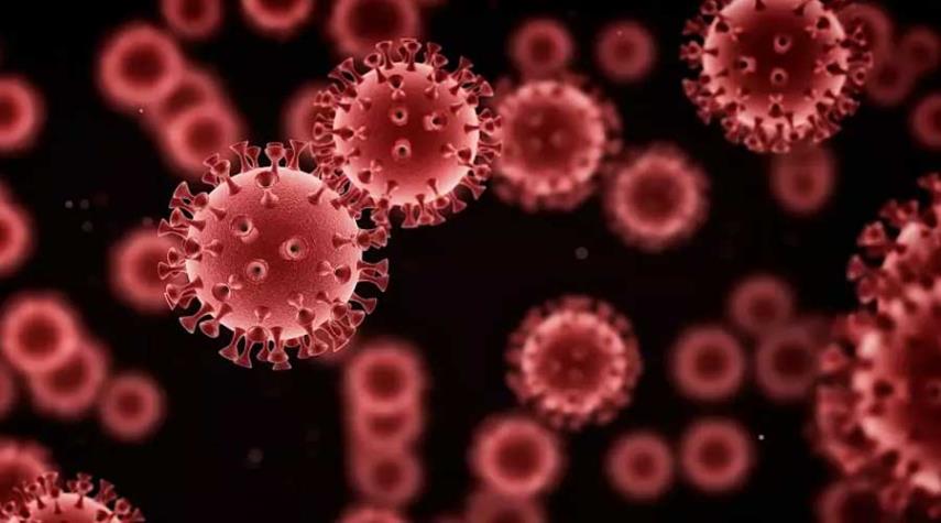 كشف فيروس جديد قاتل وإصابة العشرات في الصين 
