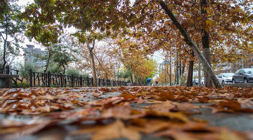 صور.. أمطار الخريف تنعش الأجواء في طهران