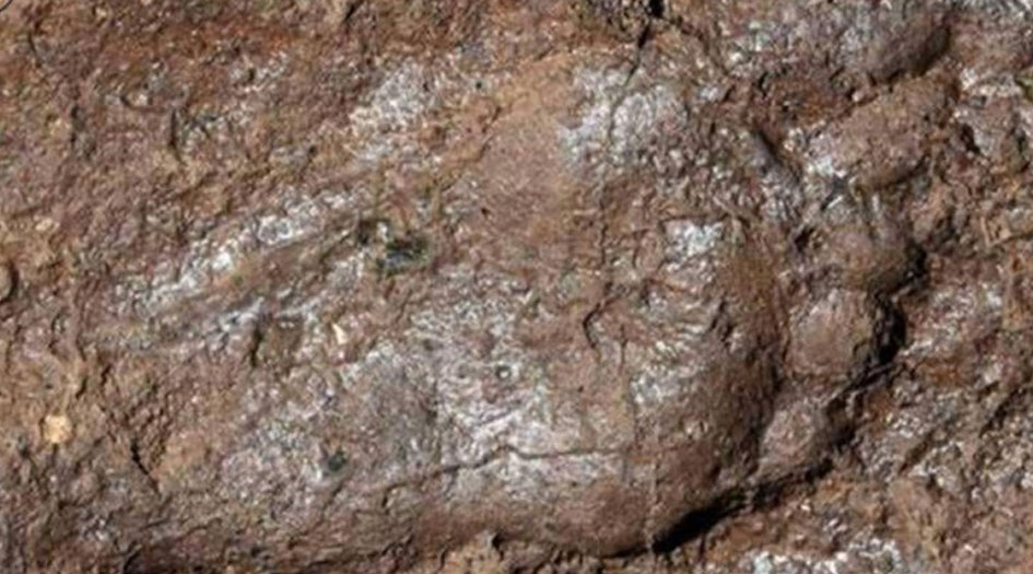 علماء يكتشفون أثر قدم عمرها ۳۰۰۰ عام