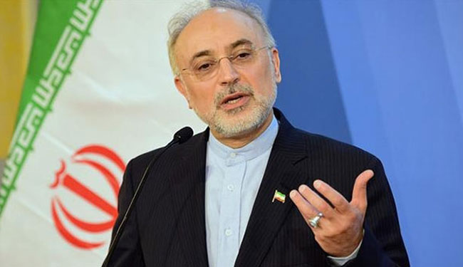 صالحي: الشعب الإيراني قادر على الإبداع حتى في الظروف الصعبة