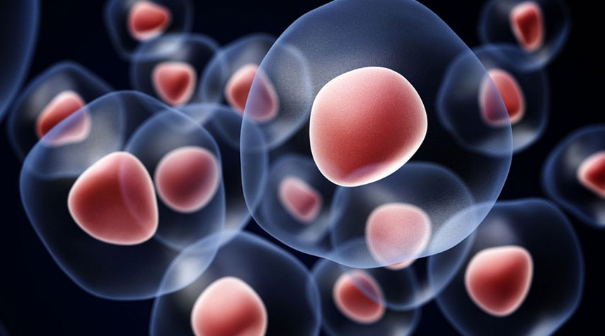 ايران من البلدان العشرة الاولى عالمياً في ابحاث الخلايا الجذعية