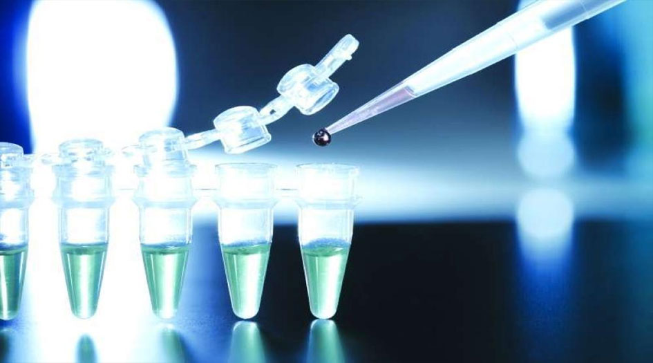 ايران: إنتاج سبعة أدوية جديدة في مجال الخلايا الجذعية