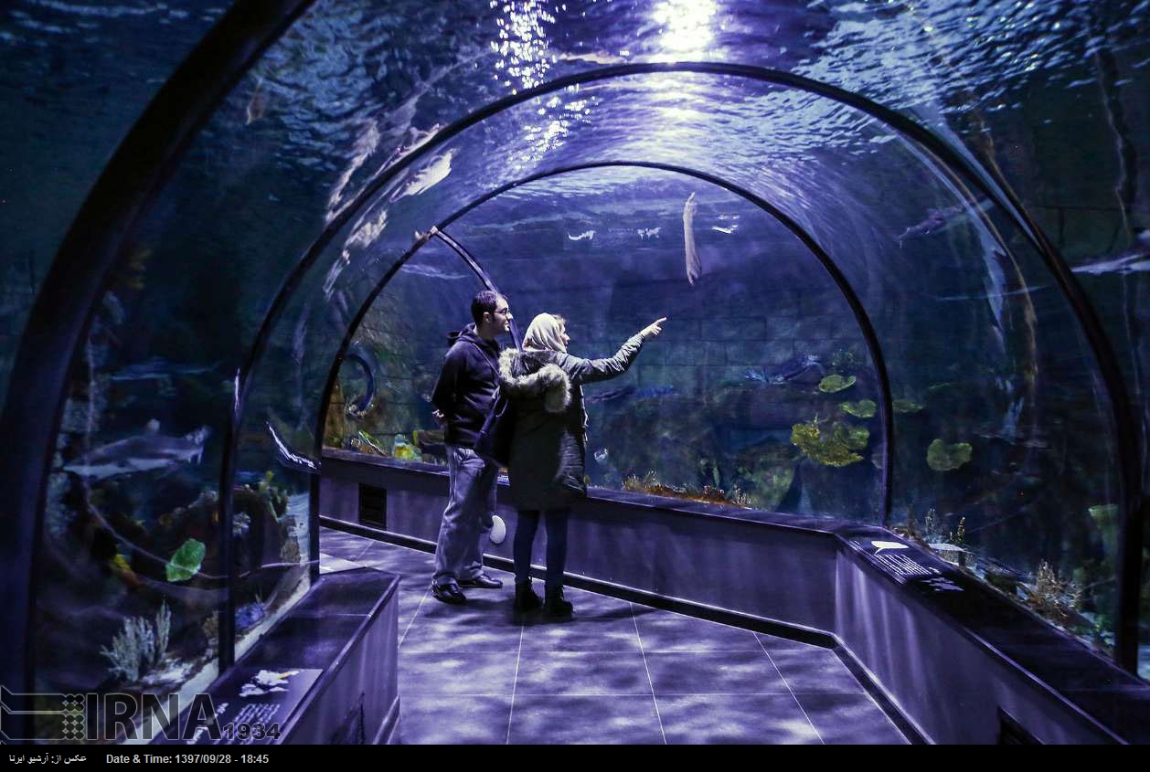 شاهد بالصور ...منطقة " أنزلي " الحرة تحتضن أضخم حديقة بحرية في إيران