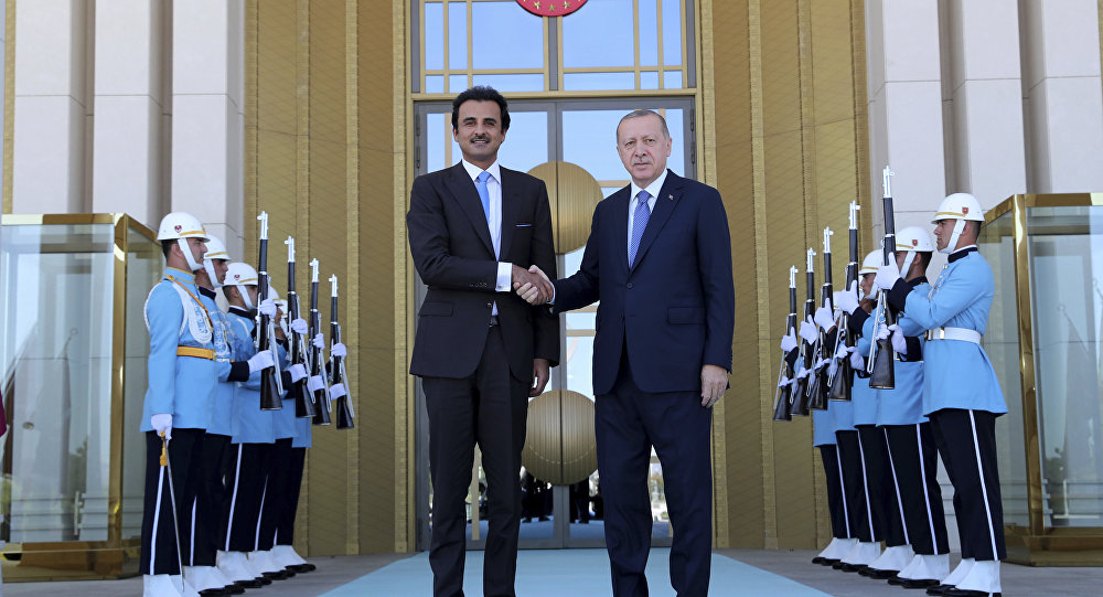 الرئيس التركي: لم ولن ننسى تضامن إخوتنا القطريين معنا
