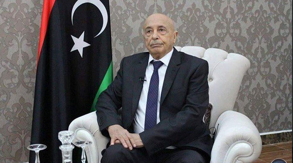 البرلمان الليبي يتهم أطراف دولية وسياسية بعرقلة الانتخابات