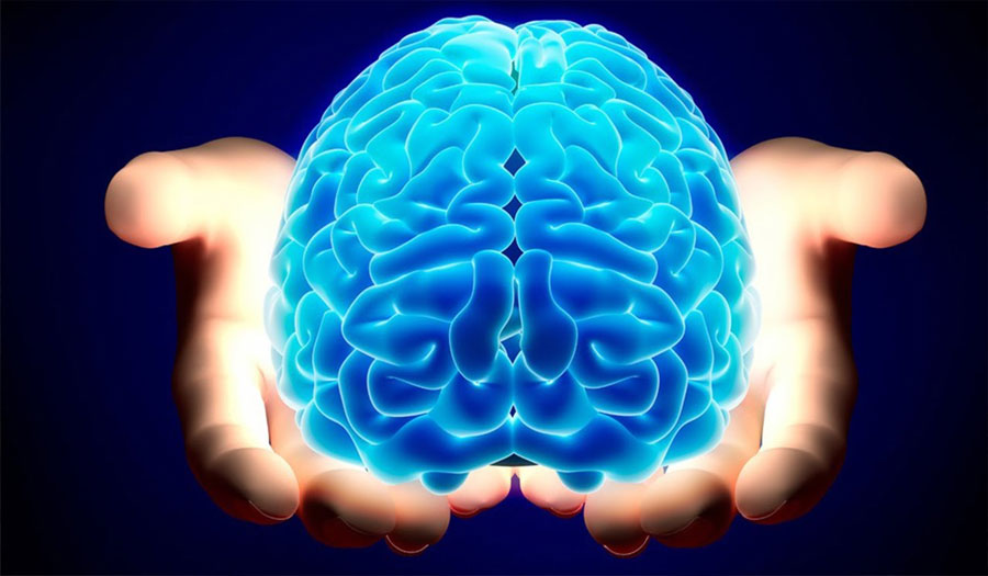 مفتاح القضاء على ألزهايمر قد يكون داخل دماغك