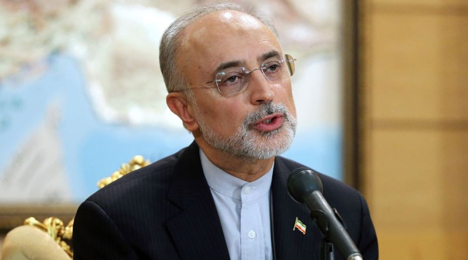 صالحي: القرارات الايرانية حول الاتفاق النووي محسوبة