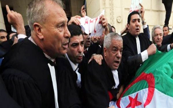 المحامون الجزائريون يتظاهرون ضد تمديد أو تأجيل الانتخابات