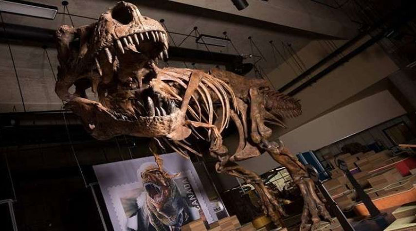 كشف النقاب عن أكبر وأقدم ديناصور في العالم