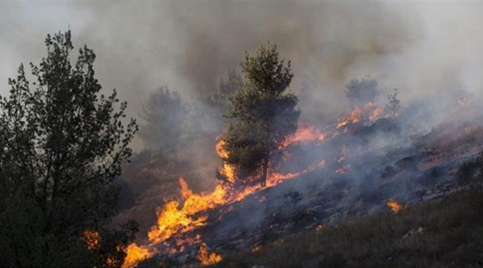 الحرائق تمتد من فلسطين المحتلة الى غور الأردن