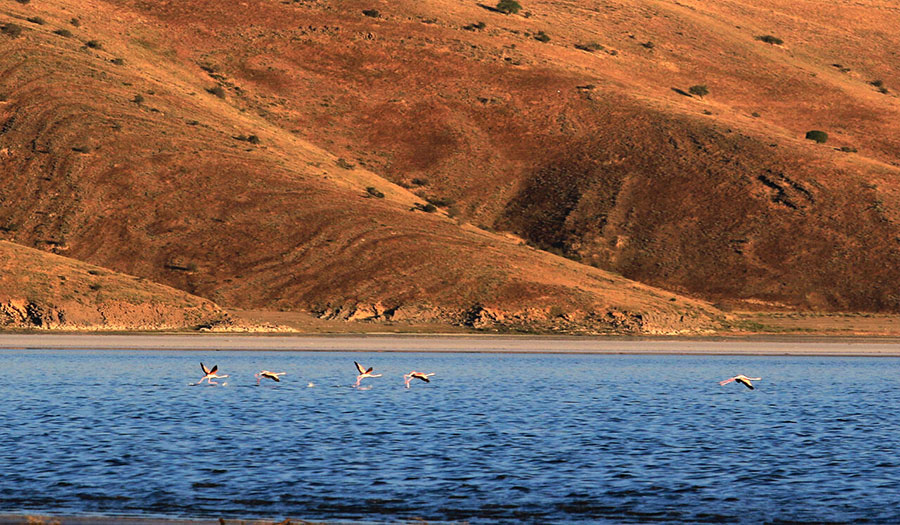 جزيرة كبودان‎ في بحيرة ارومية