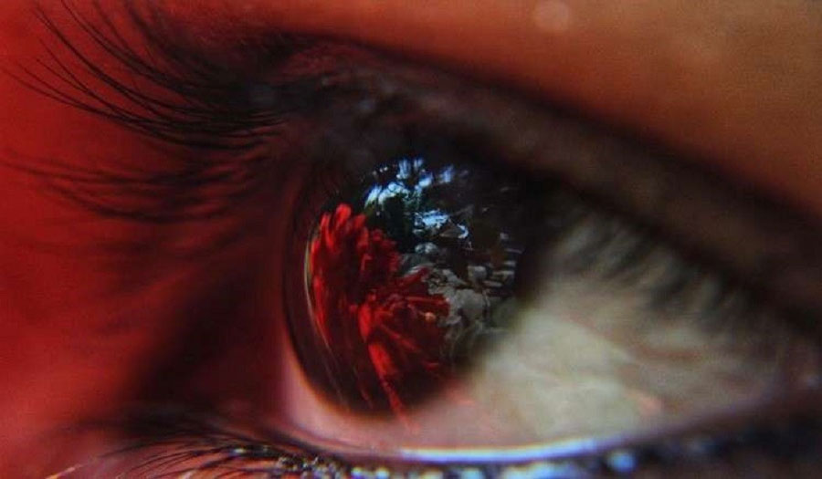هل تعلم أن عينيك تستضيف بكتيريا قد تقضي على العمى؟