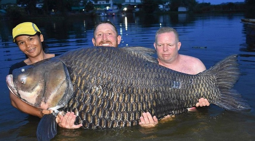 اصطياد أضخم سمكة في العالم!