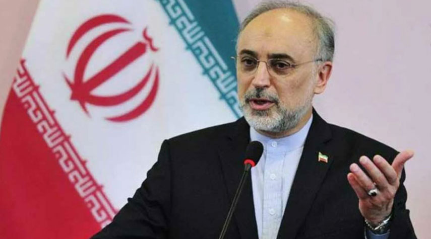 ايران تعلن عن تشييد محطة بوشهر النووية الثانية