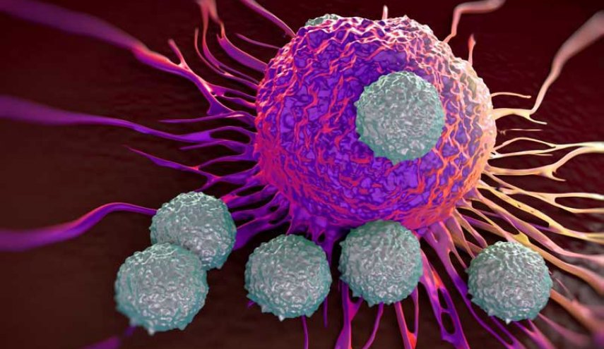 العلماء يكتشفون الخديعة الكبرى للخلايا السرطانية 