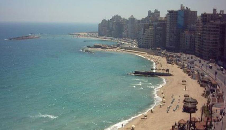 انتشار ديدان غريبة على شاطئ الإسكندرية في مصر 