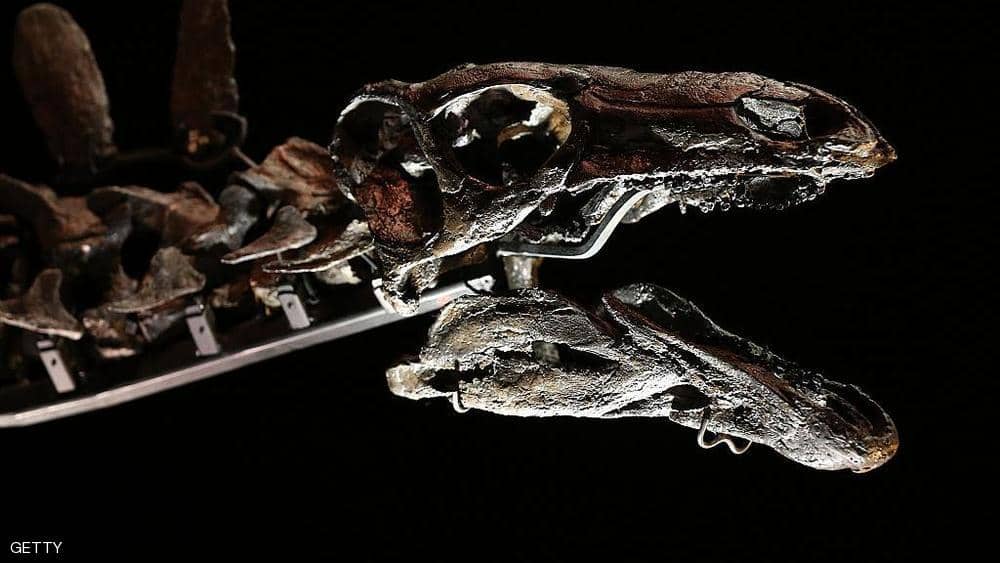 "سحلية الجبل".. ديناصور مغربي الأقدم في التاريخ
