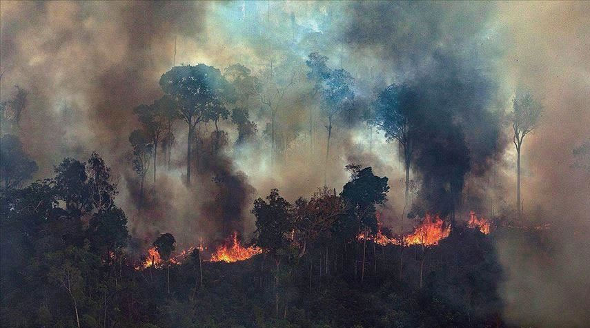 البرازيل تتراجع عن رفض مساعدات إخماد حرائق الأمازون