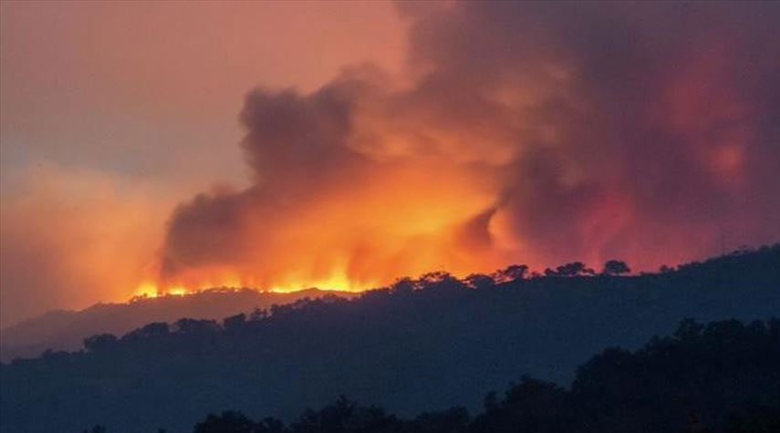 أستراليا تعلن حالة الطوارئ في ولايتين بسبب الحرائق