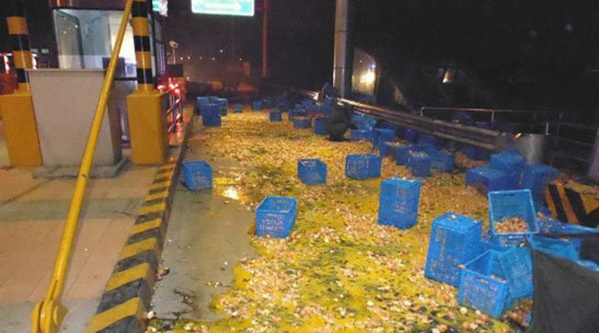 ماذا يحدث حين تسقط 136 ألف بيضة على قارعة الطريق؟