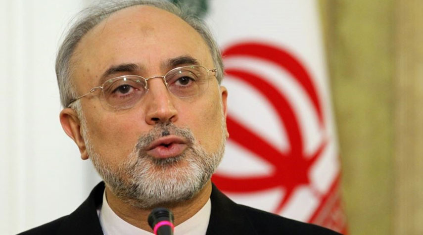 صالحي: الرئيس روحاني سيعلن الخطوة الرابعة لخفض الالتزامات النووية
