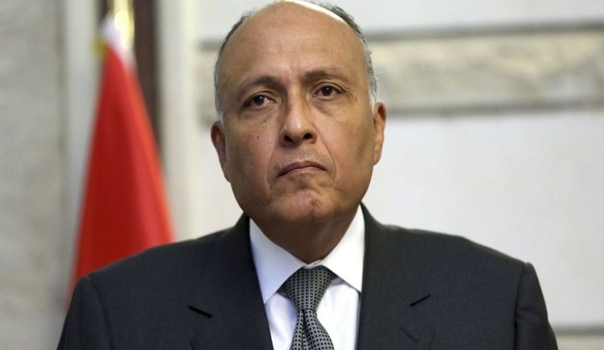 مصر تدعو العرب لمواجهة تصفية القضية الفلسطينية