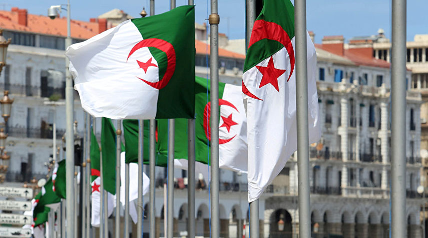 توافد الجزائريين في الخارج على صناديق الاقتراع
