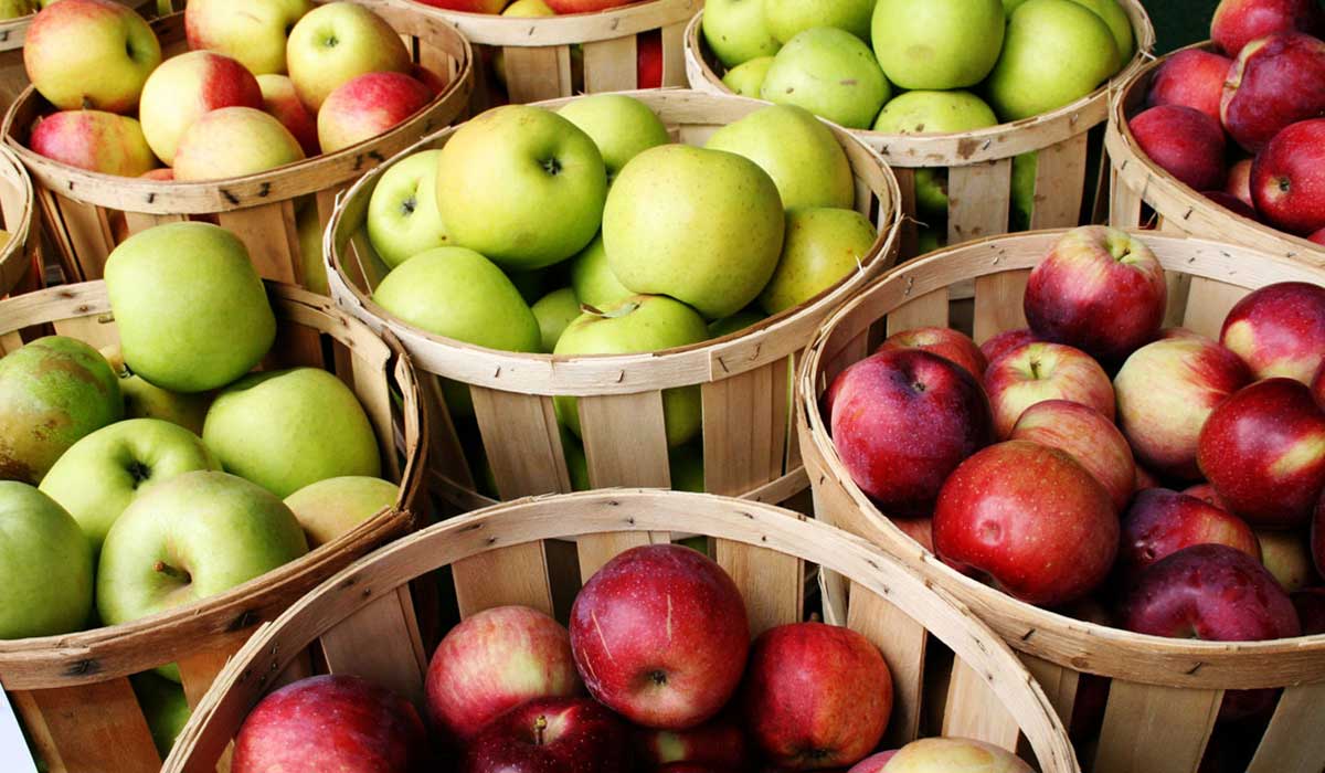 فوائد التفاح الصحية وقيمه الغذائية
