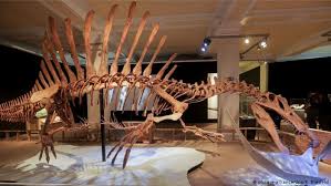  سبب انقراض الديناصورات حسب استنتاجات بحثية 