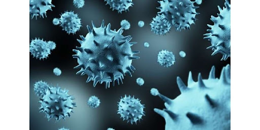 علماء يكتشفون مئات الفيروسات العملاقة