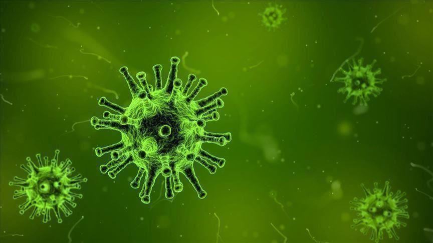 علماء: الانفجار الفيروسي الثاني أشد خطراً.. متى وأين ستبدأ الموجة الجديدة؟