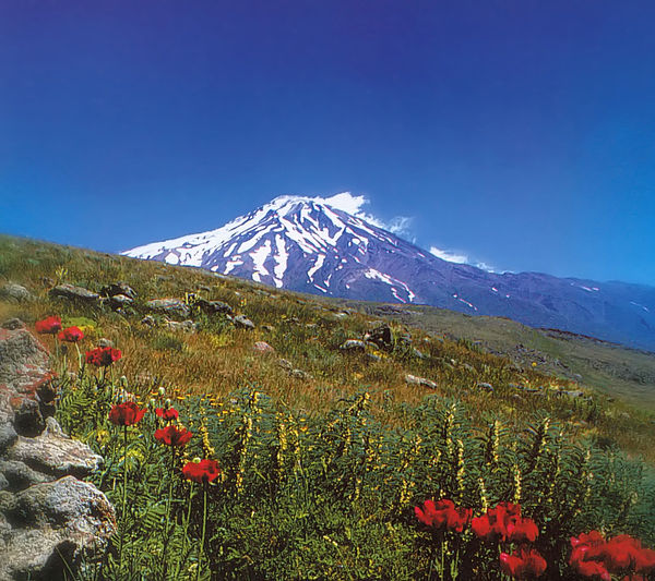 بالصور...ايران... ربيع الطبيعة في جبل شاهو