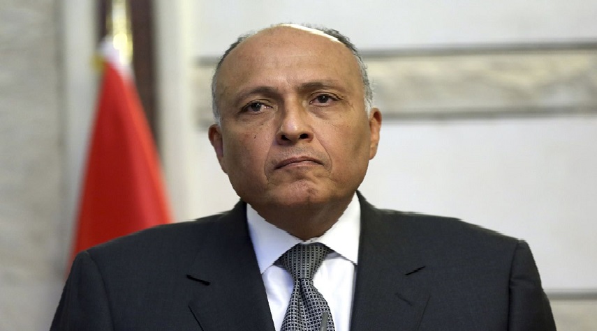 مصر تريد من مجلس الأمن القيام بمسؤولياته حول سد النهضة