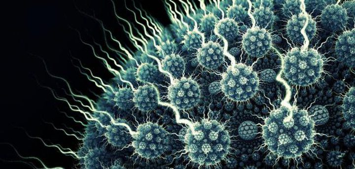  علماء يحذرون من استيقاظ الفيروسات القديمة.. ويكشفون السبب