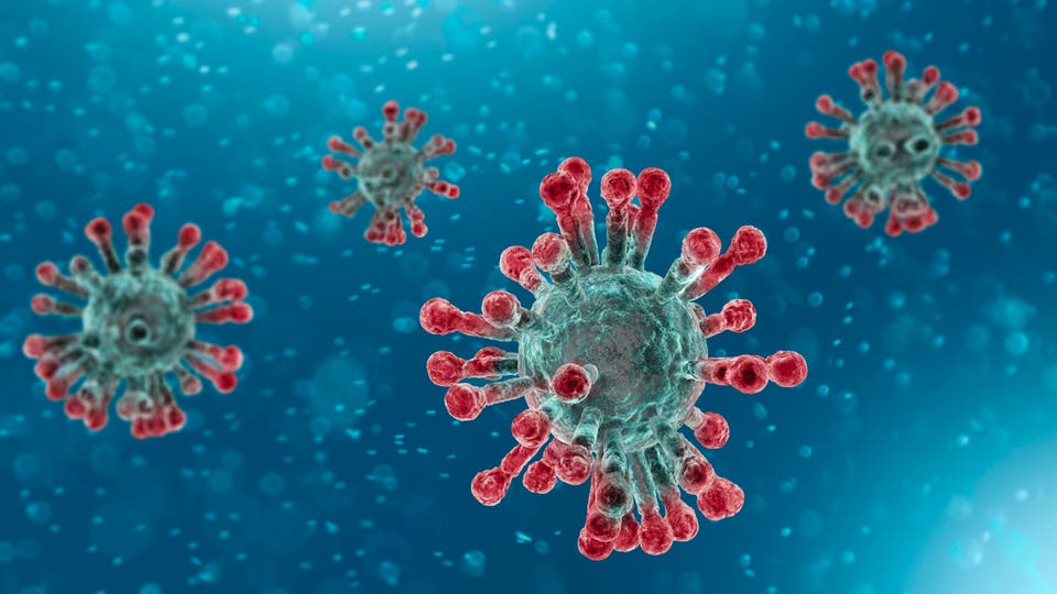 ما حقيقة وجود الفيروس التاجي في حالة سبات قبل الجائحة؟ 