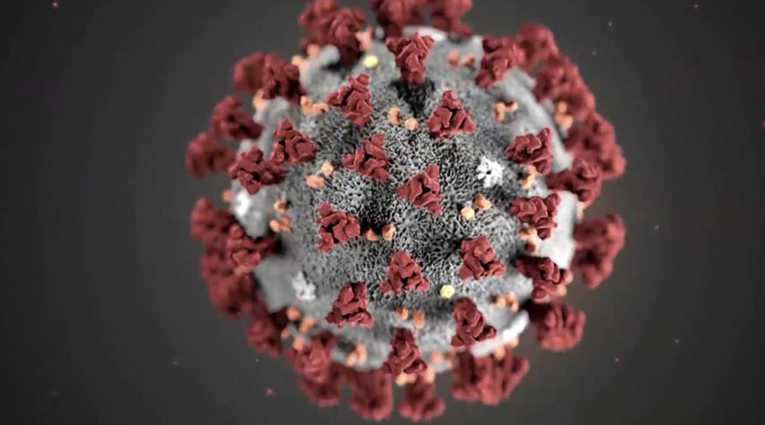 معلومات علمية مهمة حول فيروس كورونا