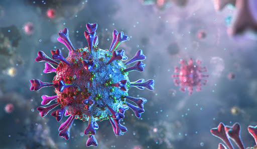  إكتشاف نوع جديد من فيروس كورونا 