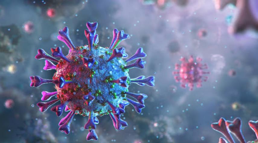 فرنسا تسجل عددا قياسيا جديدا لإصابات بفيروس كورونا