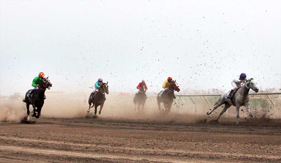 الخيل التركماني.. منافسات ركوب الخيل ومهرجان العروض في محافظة كلستان