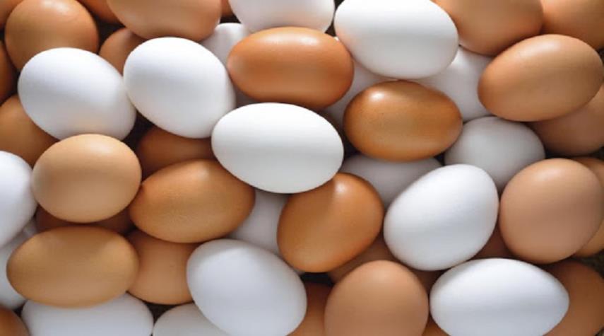 ما الفرق بين البيض ذي القشرة البنية والقشرة البيضاء؟