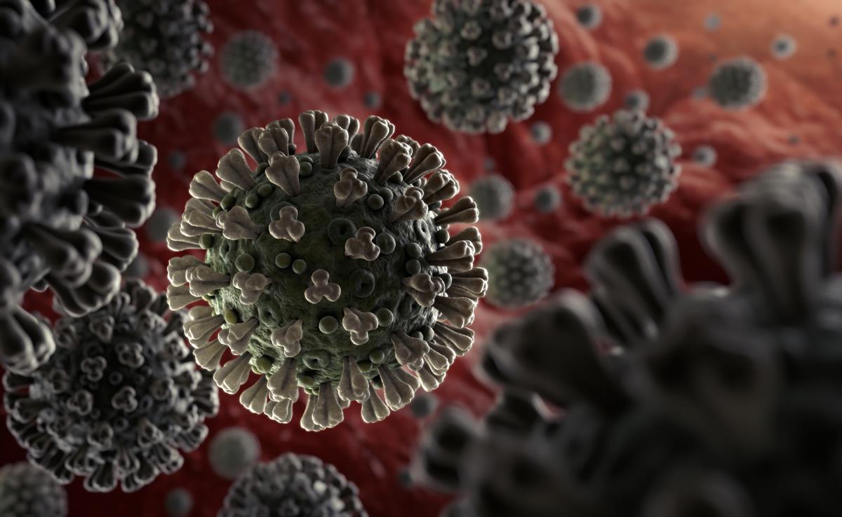 فيروس كورونا يخفض الأجسام المضادة لدى المتعافين