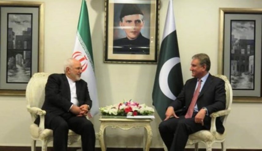 وزير الخارجية ونظيره الباكستاني يبحثان تطوير العلاقات الثنائية
