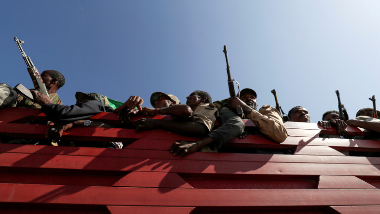 الجيش الإثيوبي يسيطر على مدينة ويكرو في تيغراي