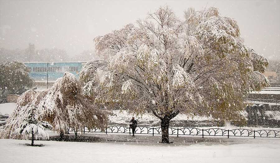 بالصور: الثلوج تكسي مدينة "أروميه" حلة ناصعة البياض