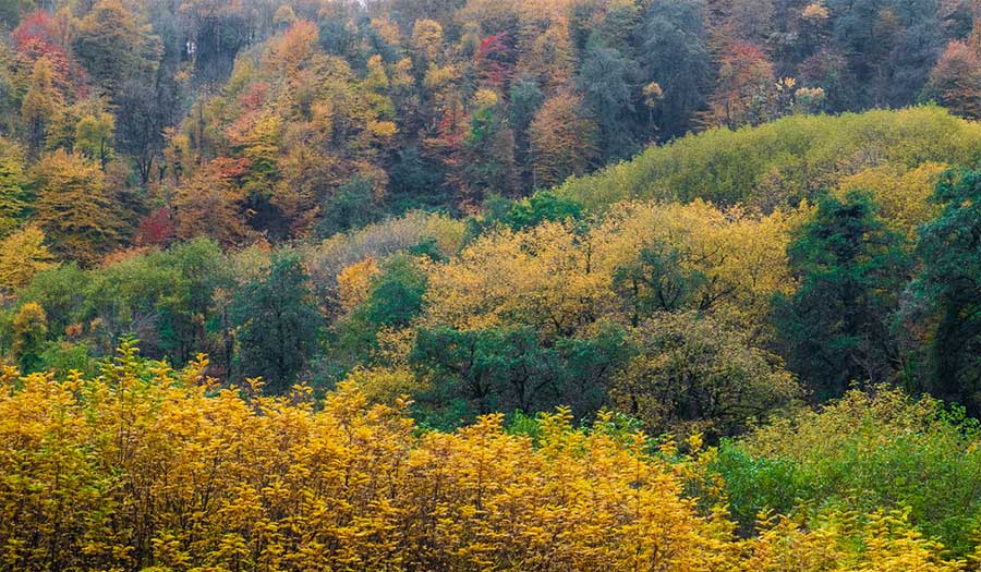 صور من جيلان .. سحر الخريف في أرض الخيال
