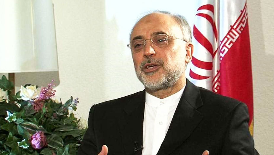 صالحي : الثقة بين ايران وامريكا مفقودة تماما... وصناعتنا النووية تتقدم