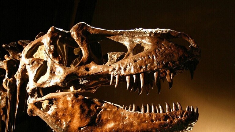 تعرف على أروع 10 اكتشافات للديناصورات لعام 2020